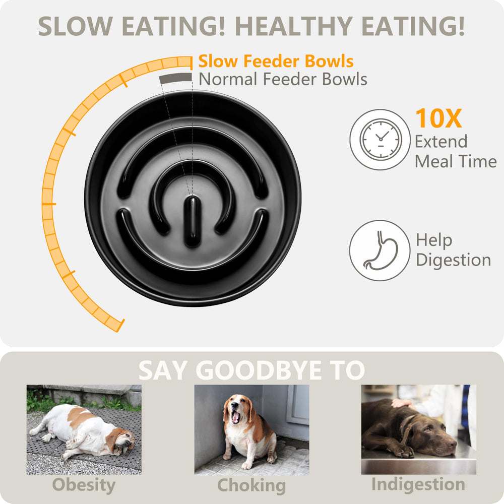 MOPANG 70oz water bowl keeps dog hydrated reliably