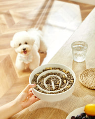 MOPANG ceramic slow-feeder bowl outer-texture closeup—durable ceramic for chew resistance.