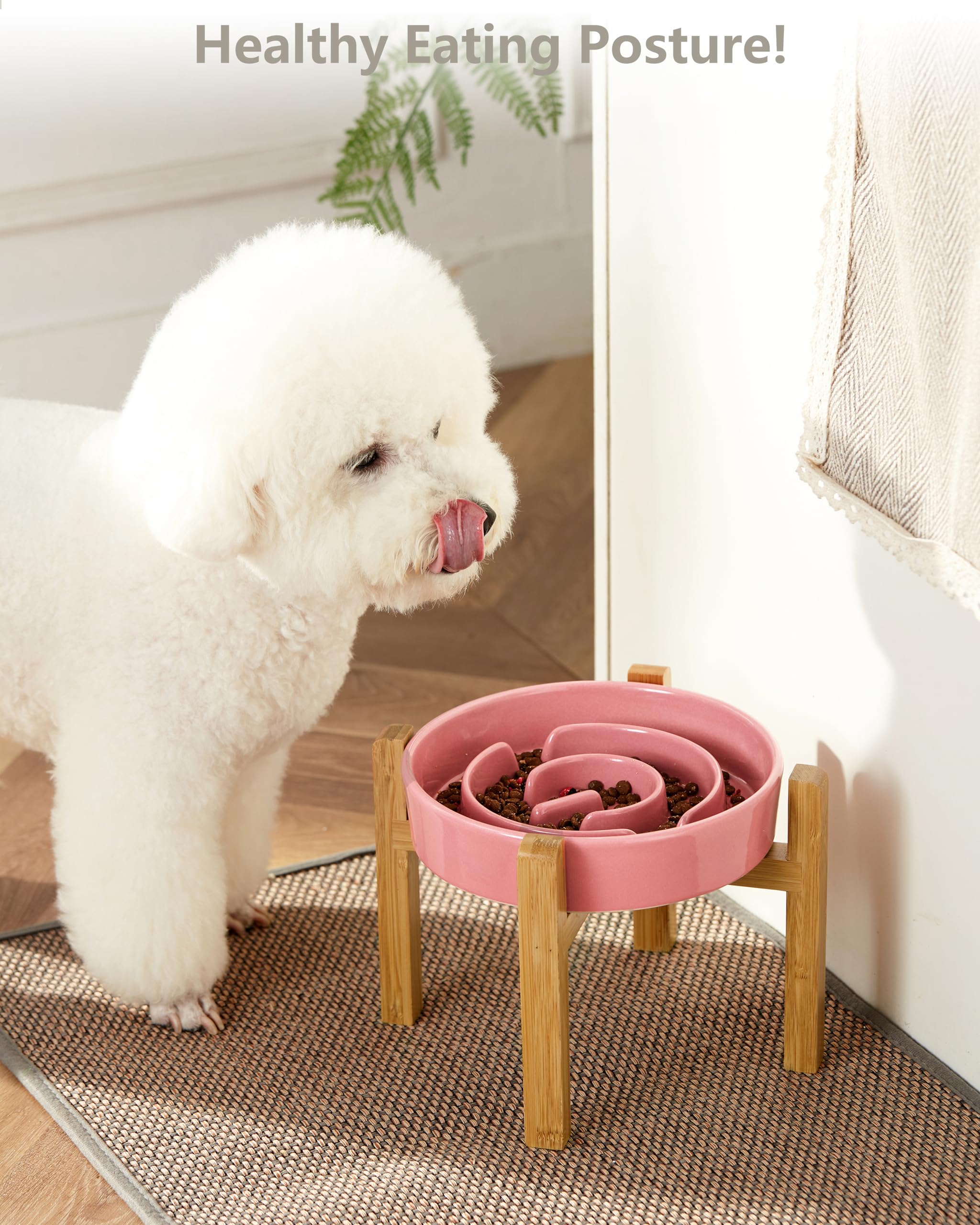 MOPANG ceramic slow-feeder bowl elevated angle view supports slower, steadier meals