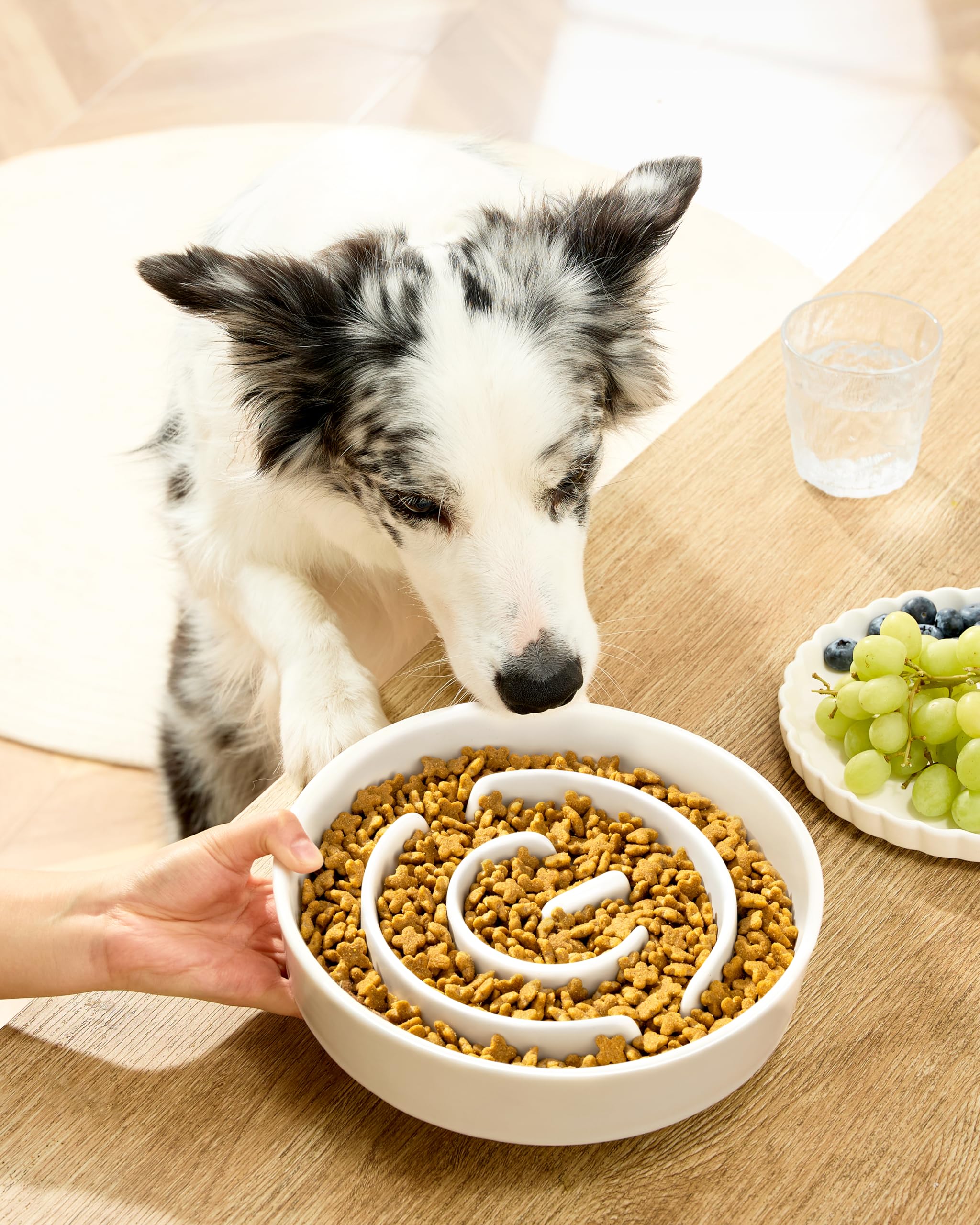 MOPANG ceramic slow feeder bowl large dog side view showcases sturdy chew resistant design