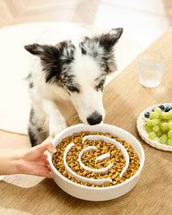 MOPANG ceramic slow feeder bowl large dog side view showcases sturdy chew resistant design