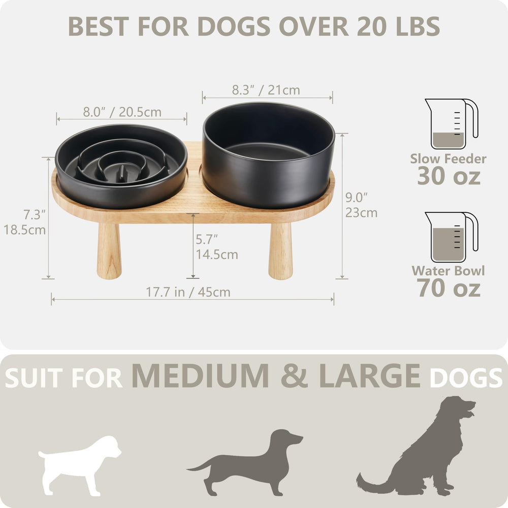 MOPANG double dog bowls for combined meals and hydration
