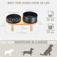 MOPANG double dog bowls for combined meals and hydration