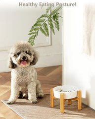 MOPANG elevated dog bowl 6in—raises feeding height for comfortable posture.