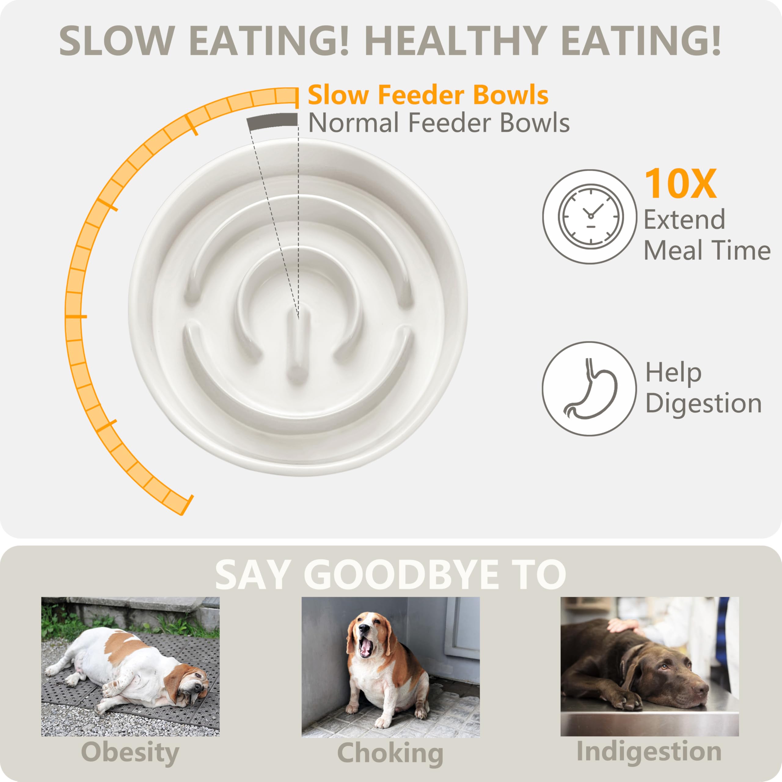 MOPANG neck-friendly elevated bowls supporting natural posture.