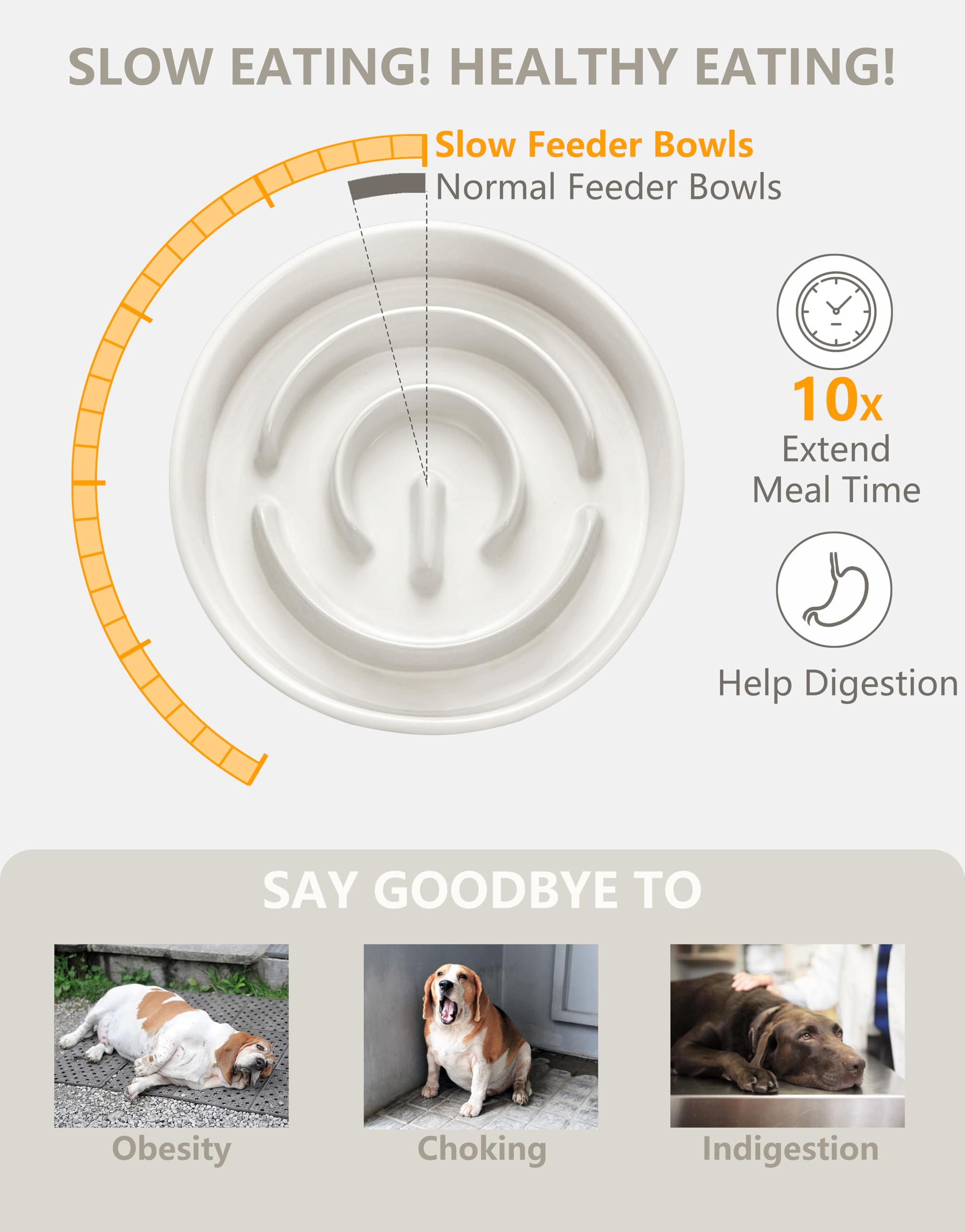 MOPANG puzzle maze bowl—maze design encourages slower eating pace for small pets.