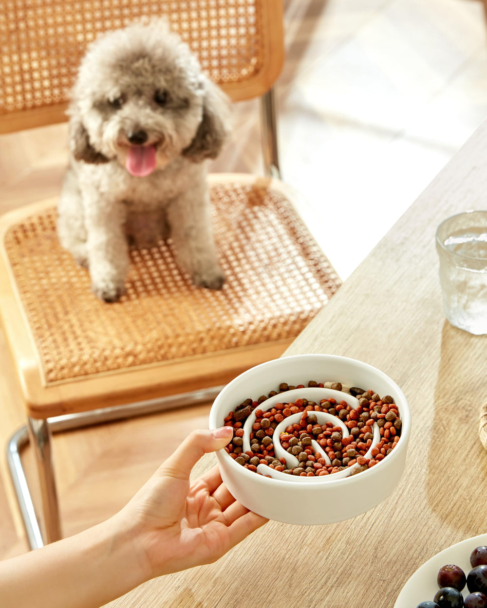MOPANG puzzle maze dog bowl engages dogs during mealtime for mental stimulation.