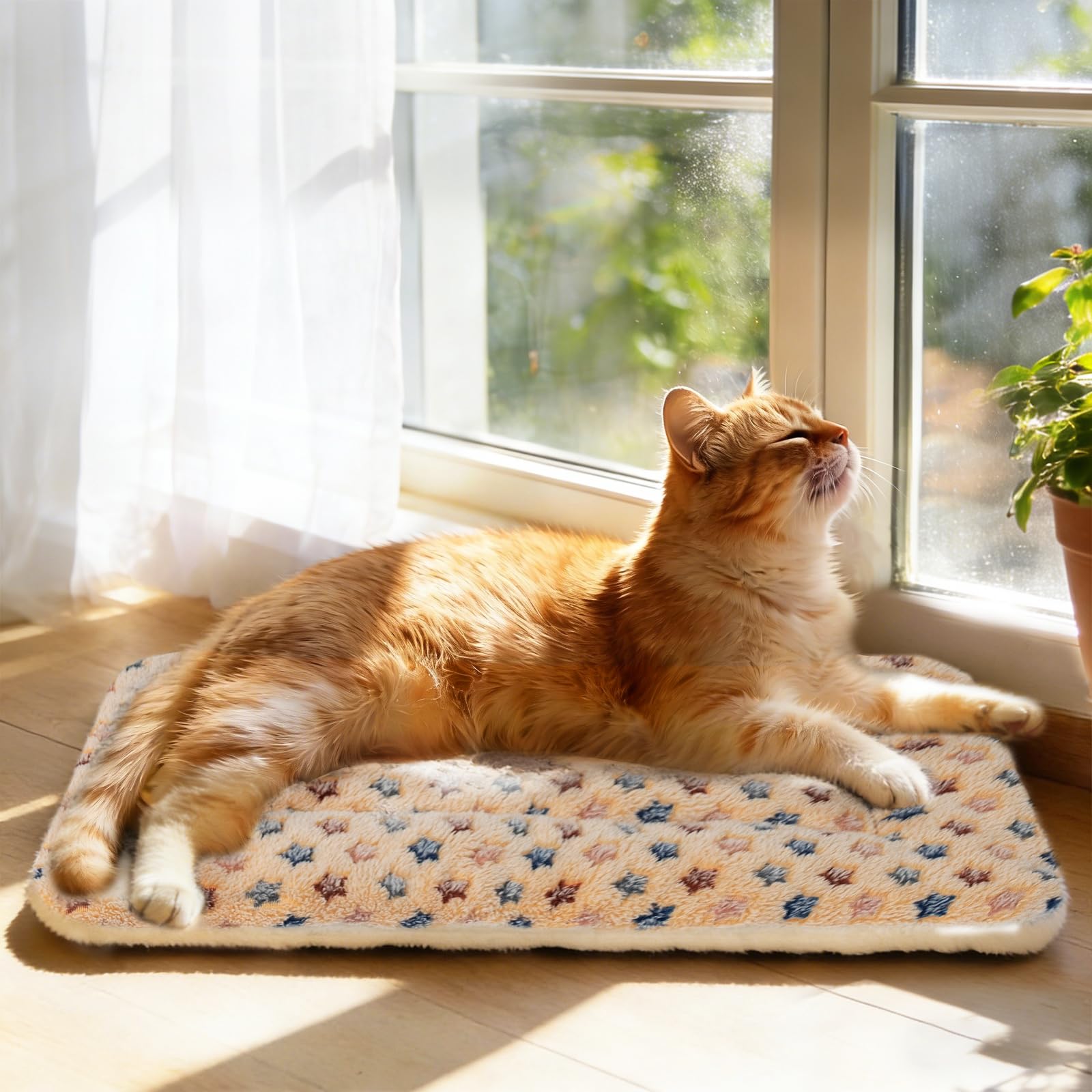 Mora Pets crate pad soft-flannel-star-design offers cozy top surface for pets