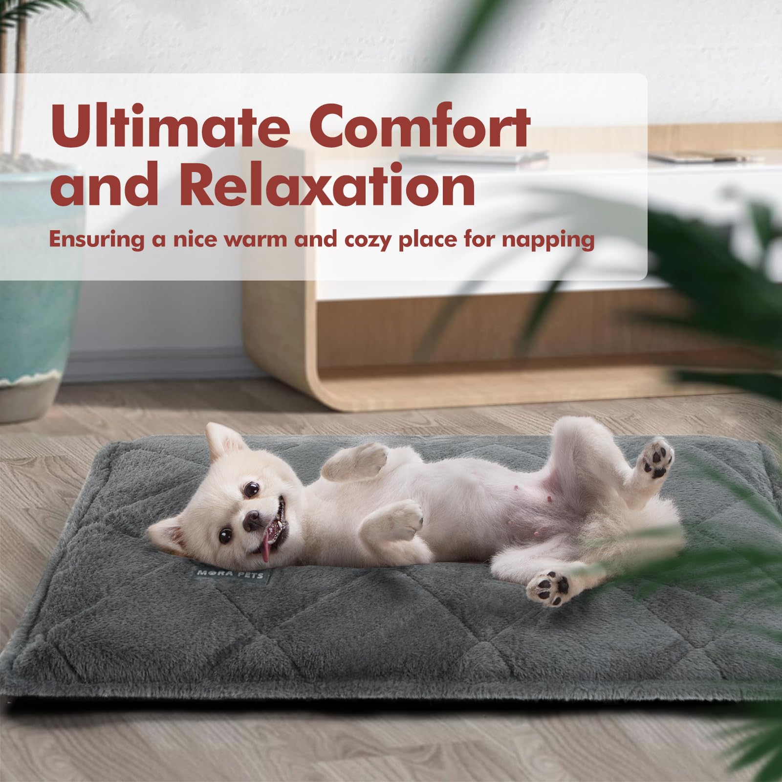 Mora Pets self-heating bed suited for indoor-outdoor use to keep pets comfy year-round.