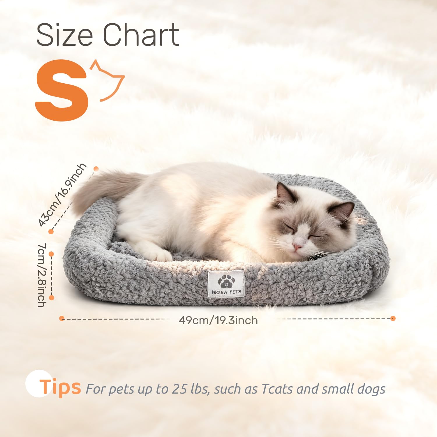Mora Pets non slip base demonstrates bed staying in place during playtime.