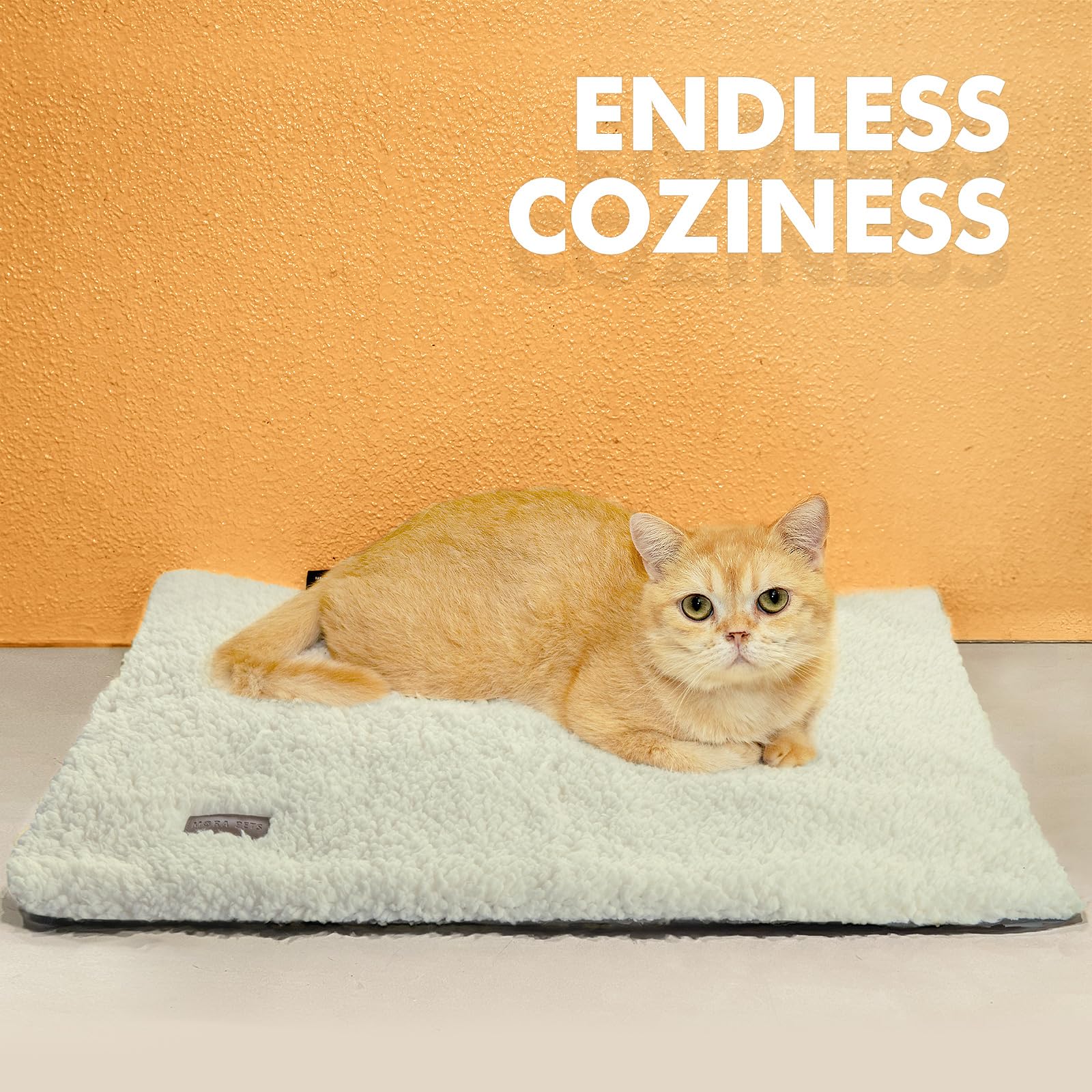 Mora Pets self-warming cat bed outdoor-ready design keeps pets warm outside.