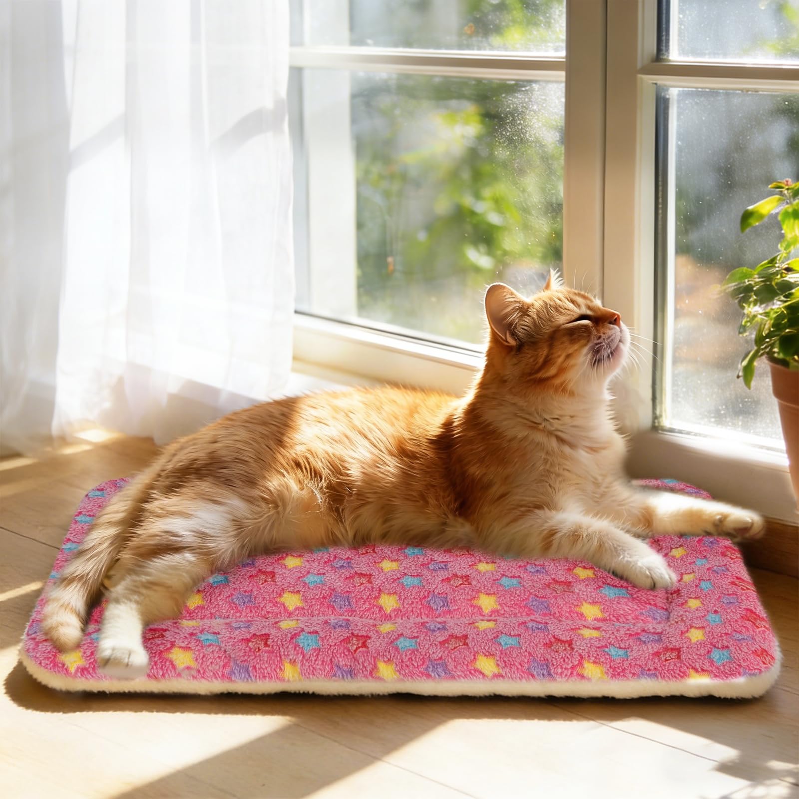 Mora Pets travel-friendly bed in crate, lightweight for easy transport and on-the-go comfort.