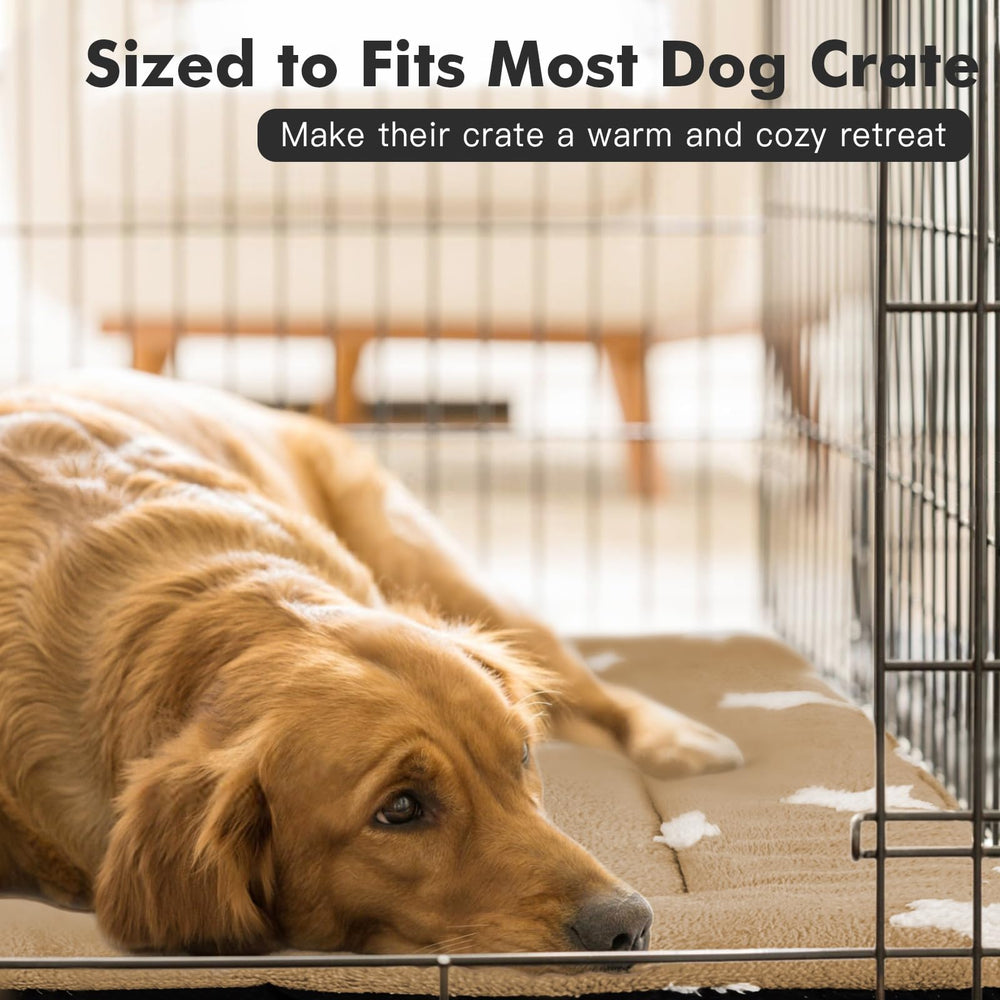 Mora Pets travel kennel mat ready for car trips and hotel stays.