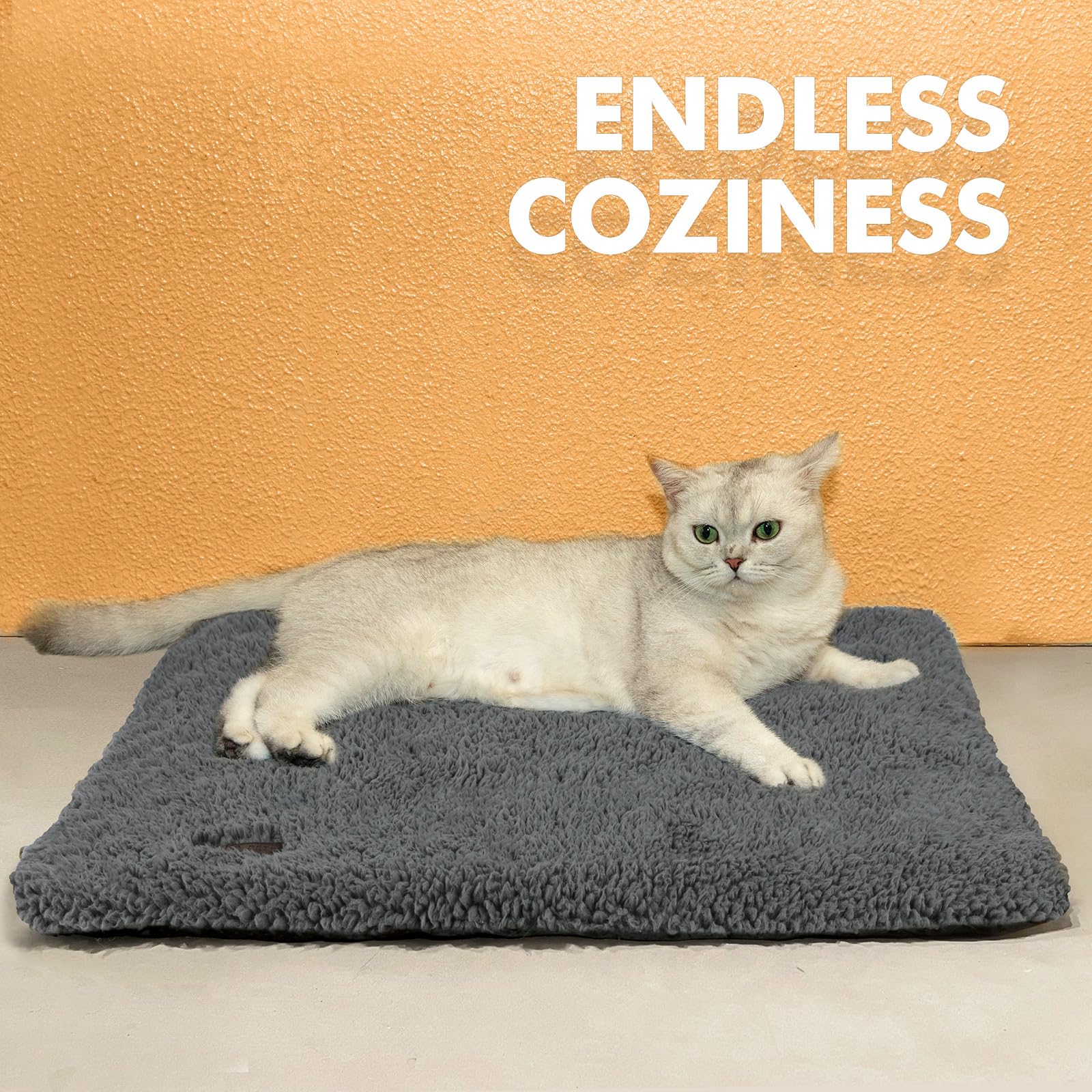 Mora Pets two-sizes 24x18 and 29x19 image highlights options for pets.