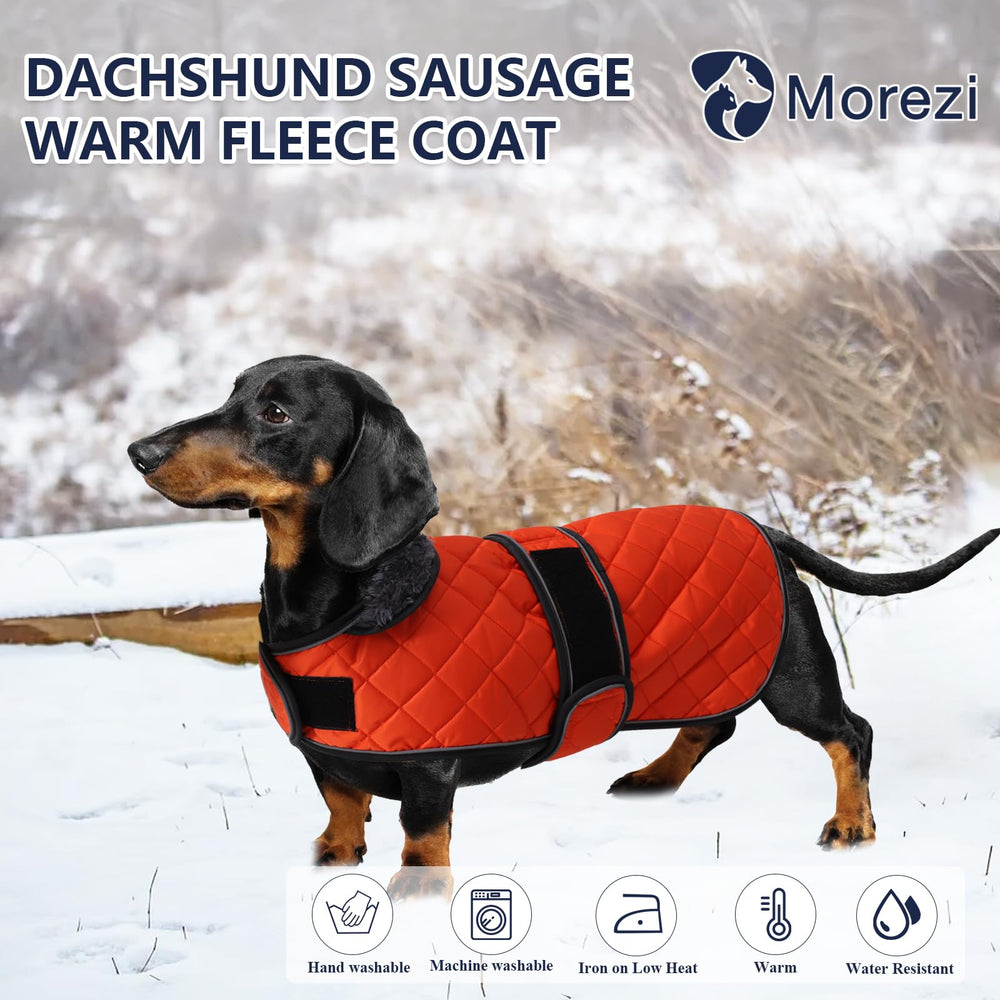 Morezi dachshund coat with adjustable bands for a secure, comfy fit.