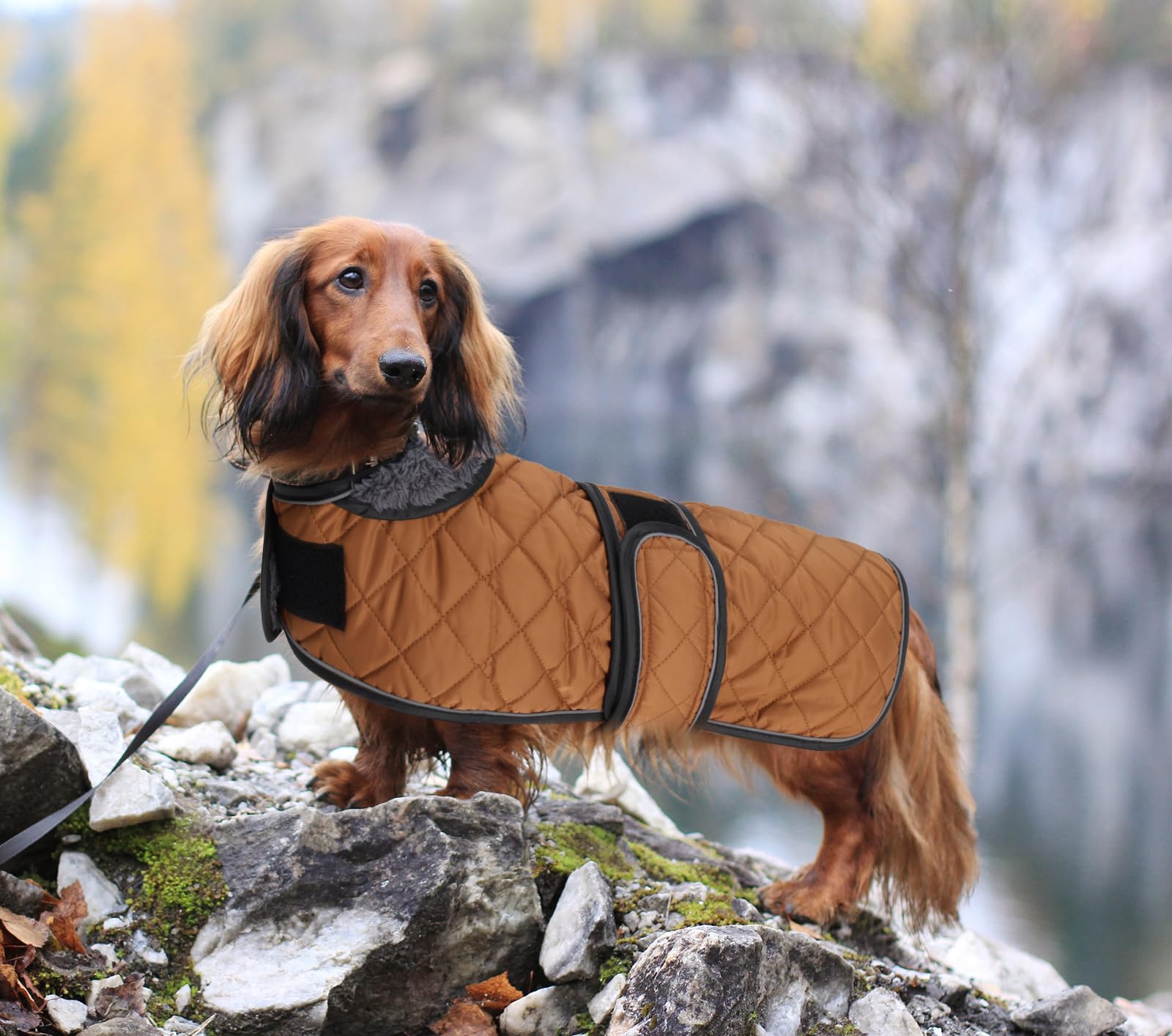 Morezi winter coat folded neck to shield ears