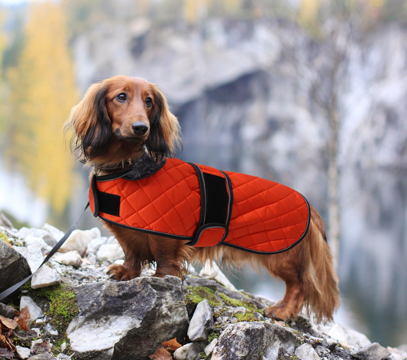 Morezi dachshund coat is machine-washable for simple care.