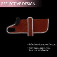 Morezi dachshund coat highlights reflective trim for safer evening strolls.