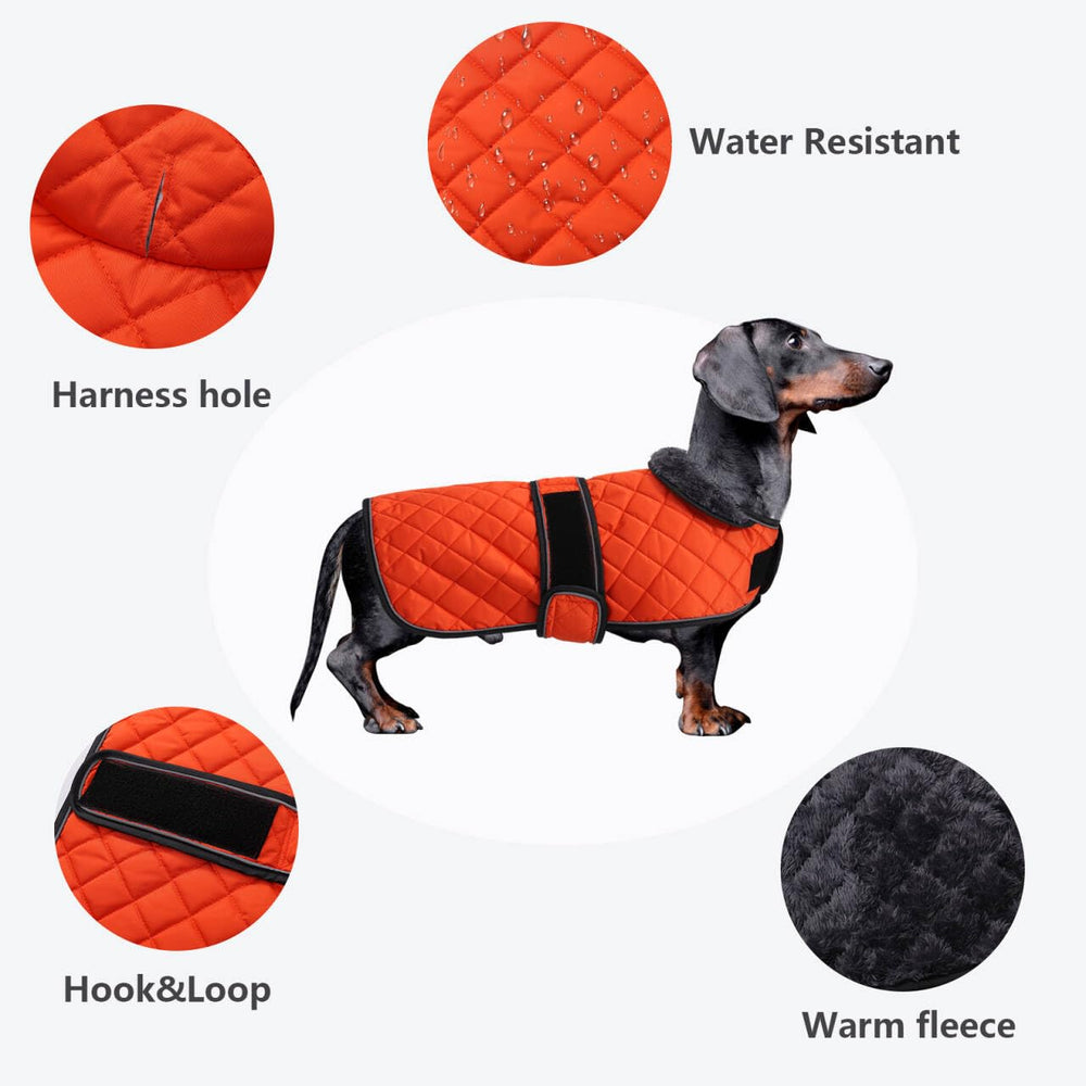 Morezi dachshund coat features warm fleece lining for chilly walks.
