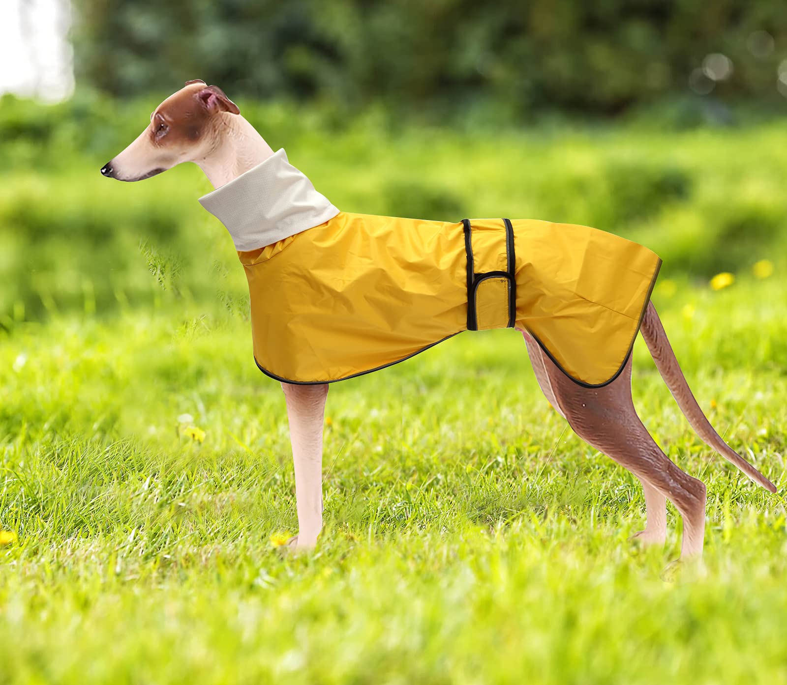 Morezi dog raincoat back view showing harness opening for easy attachment.