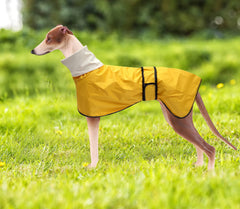 Morezi dog raincoat back view showing harness opening for easy attachment.
