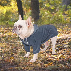 Morezi dog raincoat blue back pocket for storing treats and bags.