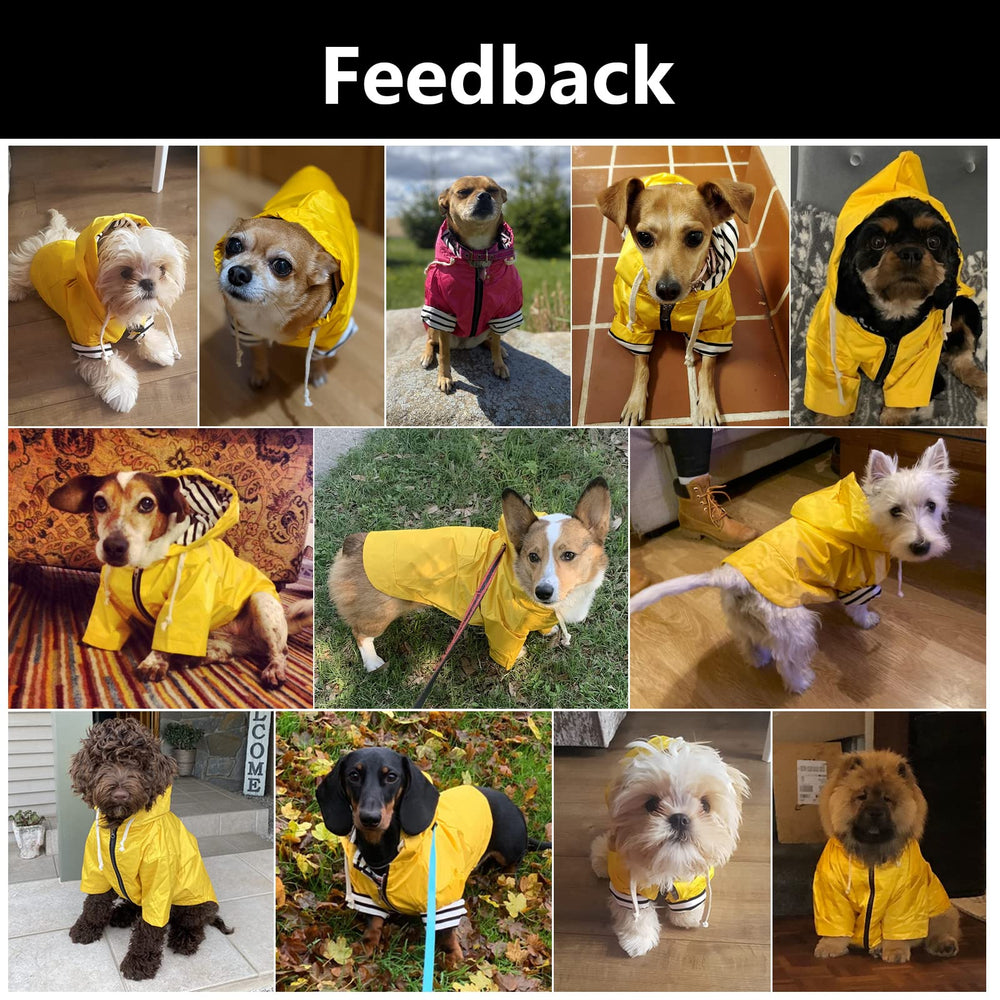 Morezi dog raincoat blue zip closure for easy on and off.