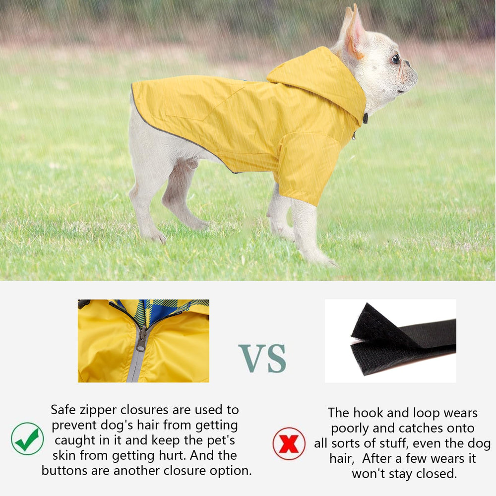 Morezi dog raincoat in-use shot shows dry-walking comfort in rain.