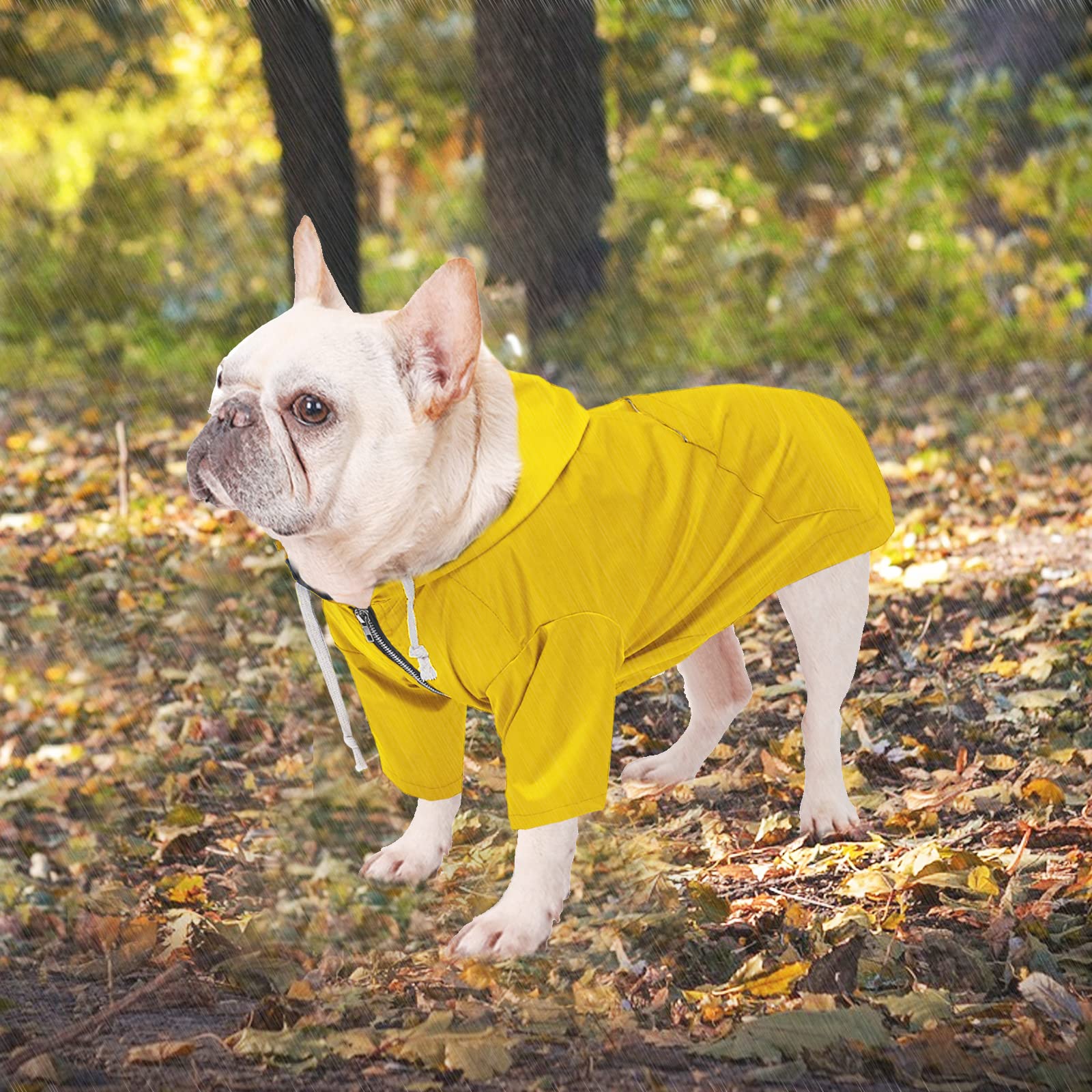 Morezi dog raincoat hood detail highlights weather-ready style for adventurous dogs.
