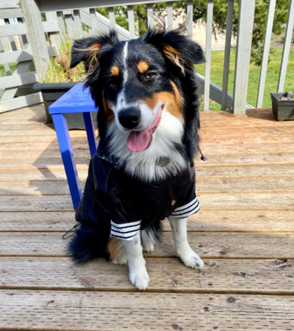 Morezi legged raincoat supports small through large breeds for secure fit.