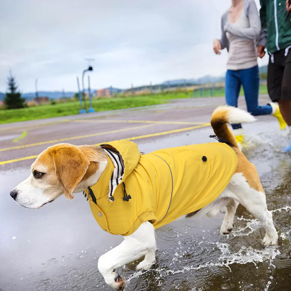 Morezi raincoat is machine washable for easy cleanup