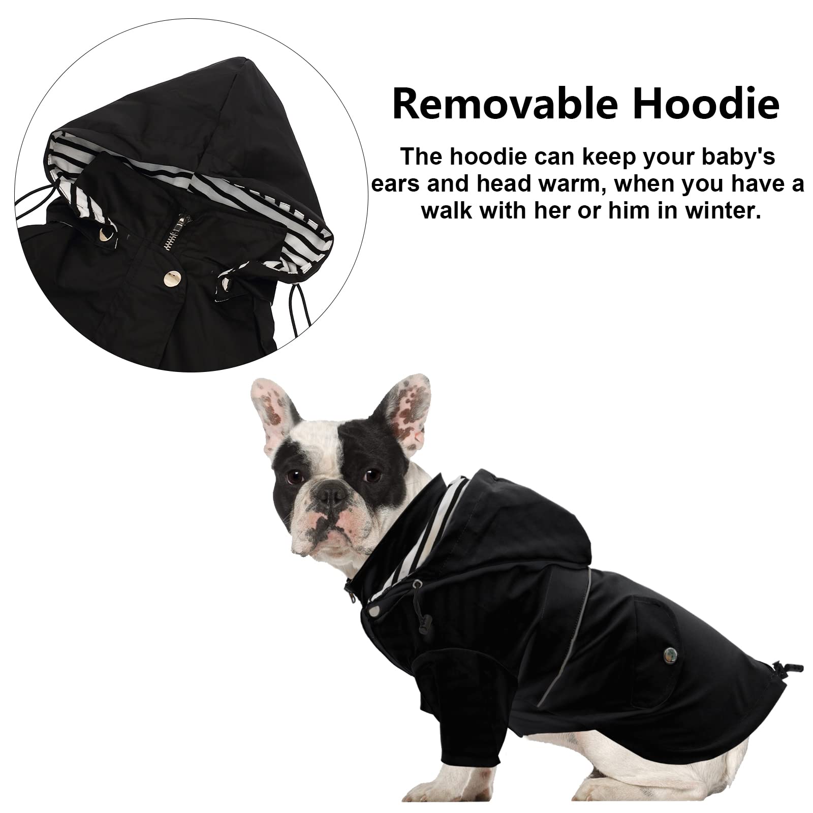 Morezi dog raincoat with removable hood offers adjustable protection in changing weather.