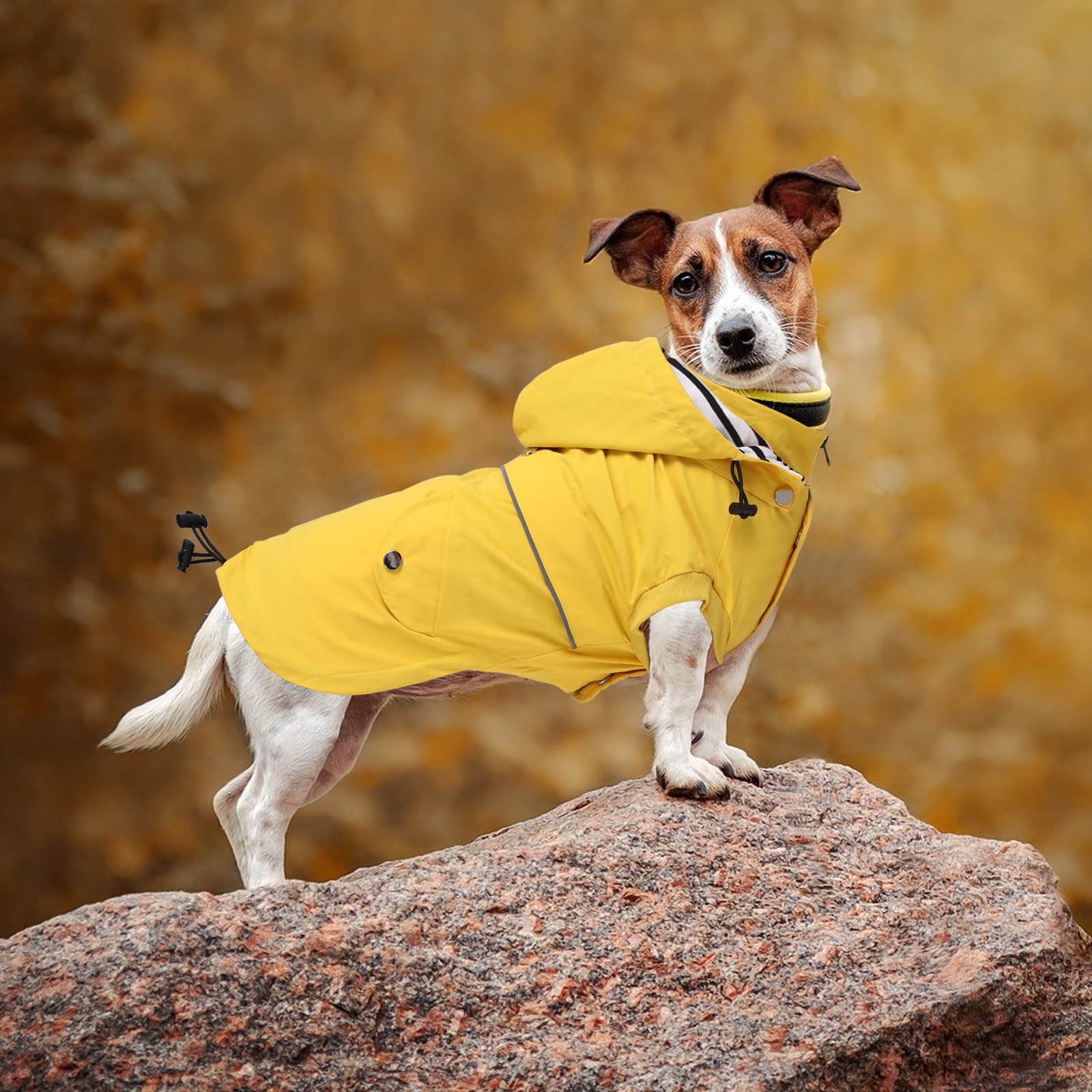 Morezi raincoat size chart helps choose the right fit