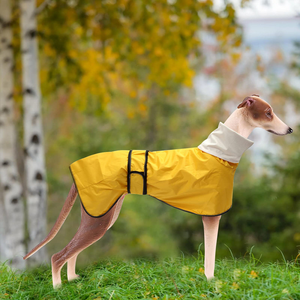 Morezi dog raincoat yellow XL shown with high-visibility color.