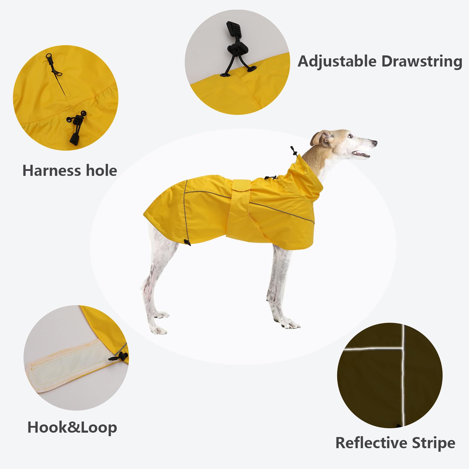 Morezi Lurcher raincoat side adjustable bands for perfect fit