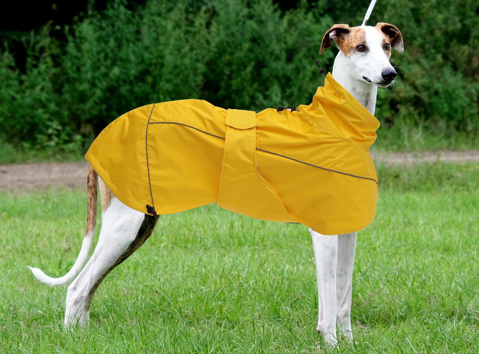Morezi Greyhound raincoat machine washable for easy cleaning