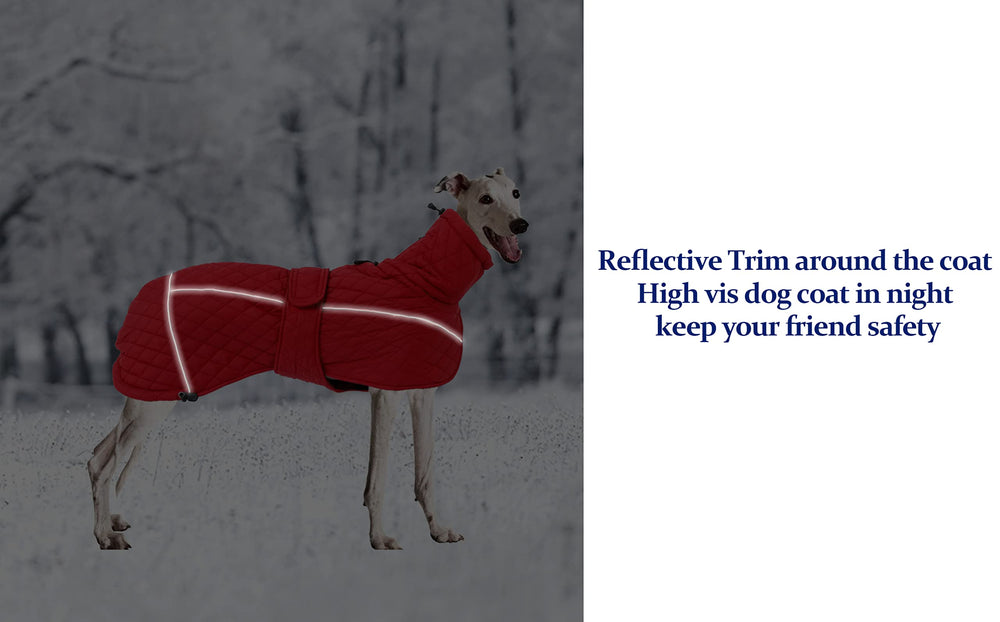Morezi Greyhound Winter Coat fleece-lined interior for warmth and comfort