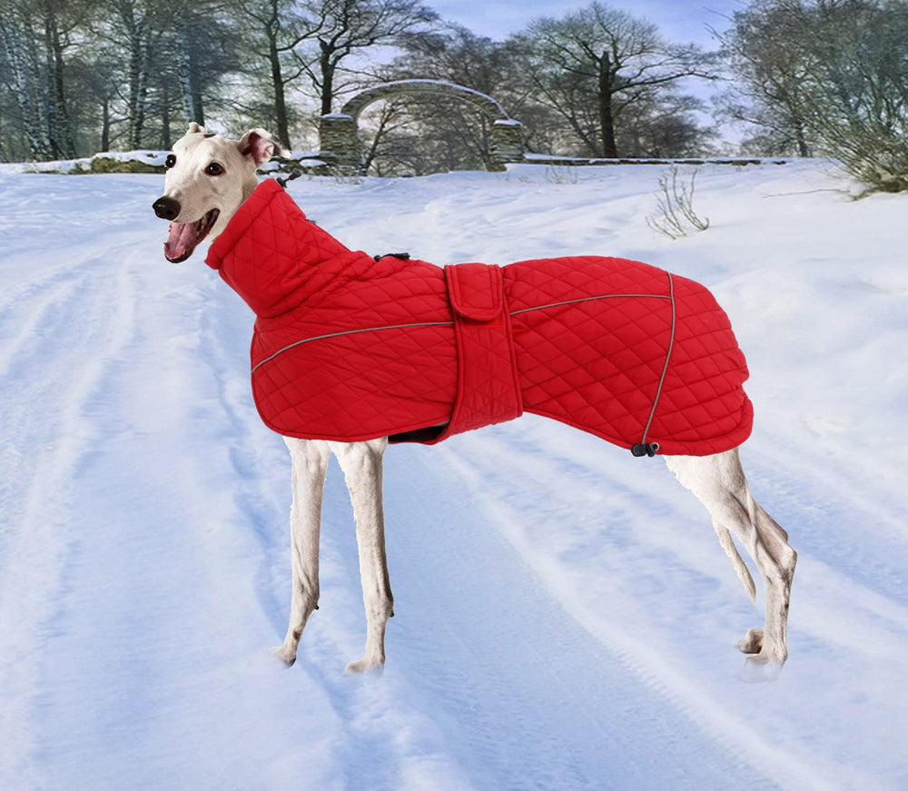 Morezi Greyhound Winter Coat back harness hole for easy harness attachment