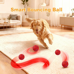 morhandisn dog ball bounce-spin-play demonstrates unpredictable motion for engaged fetch.