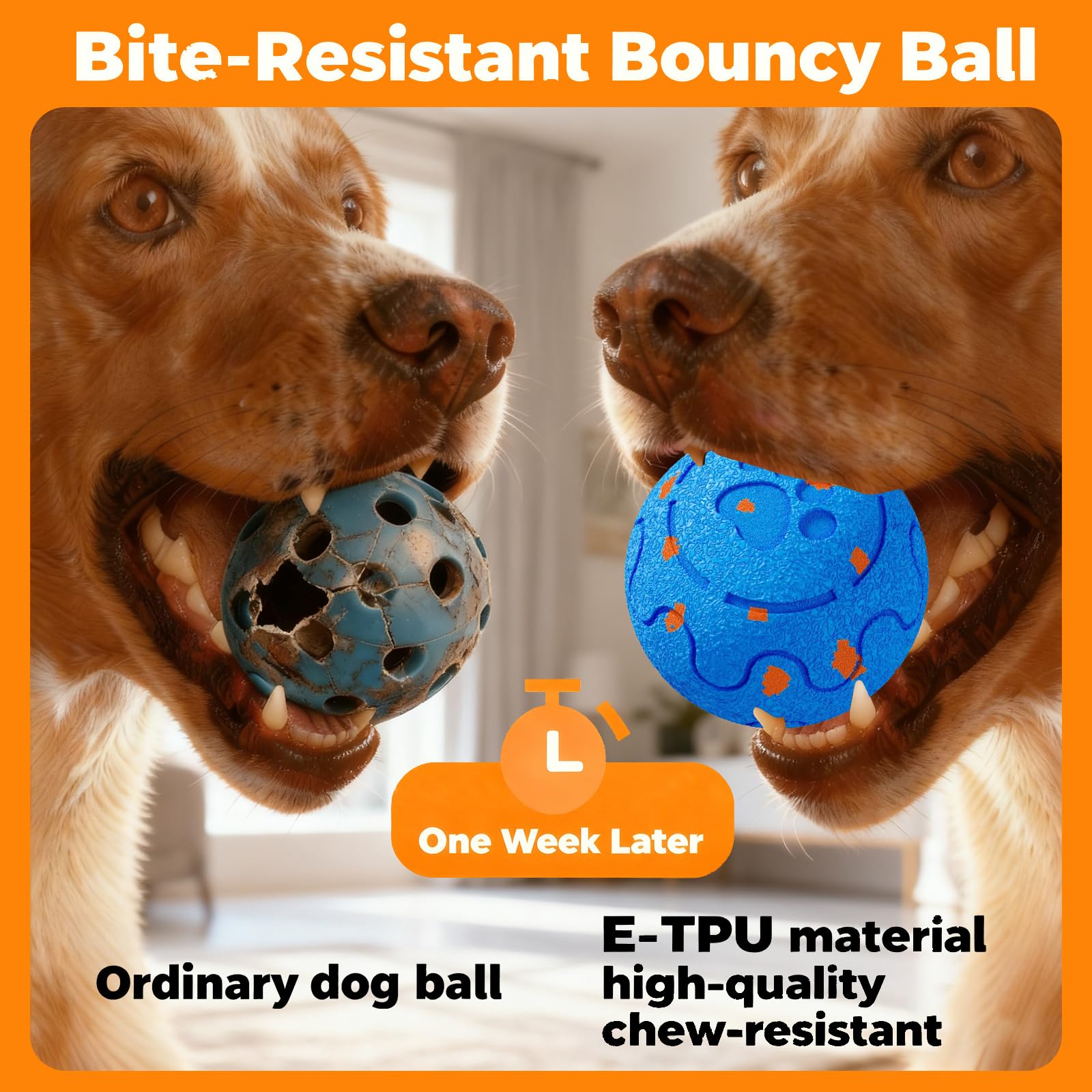 Morhandisn dog ball fast-charging Type-C delivers long play sessions
