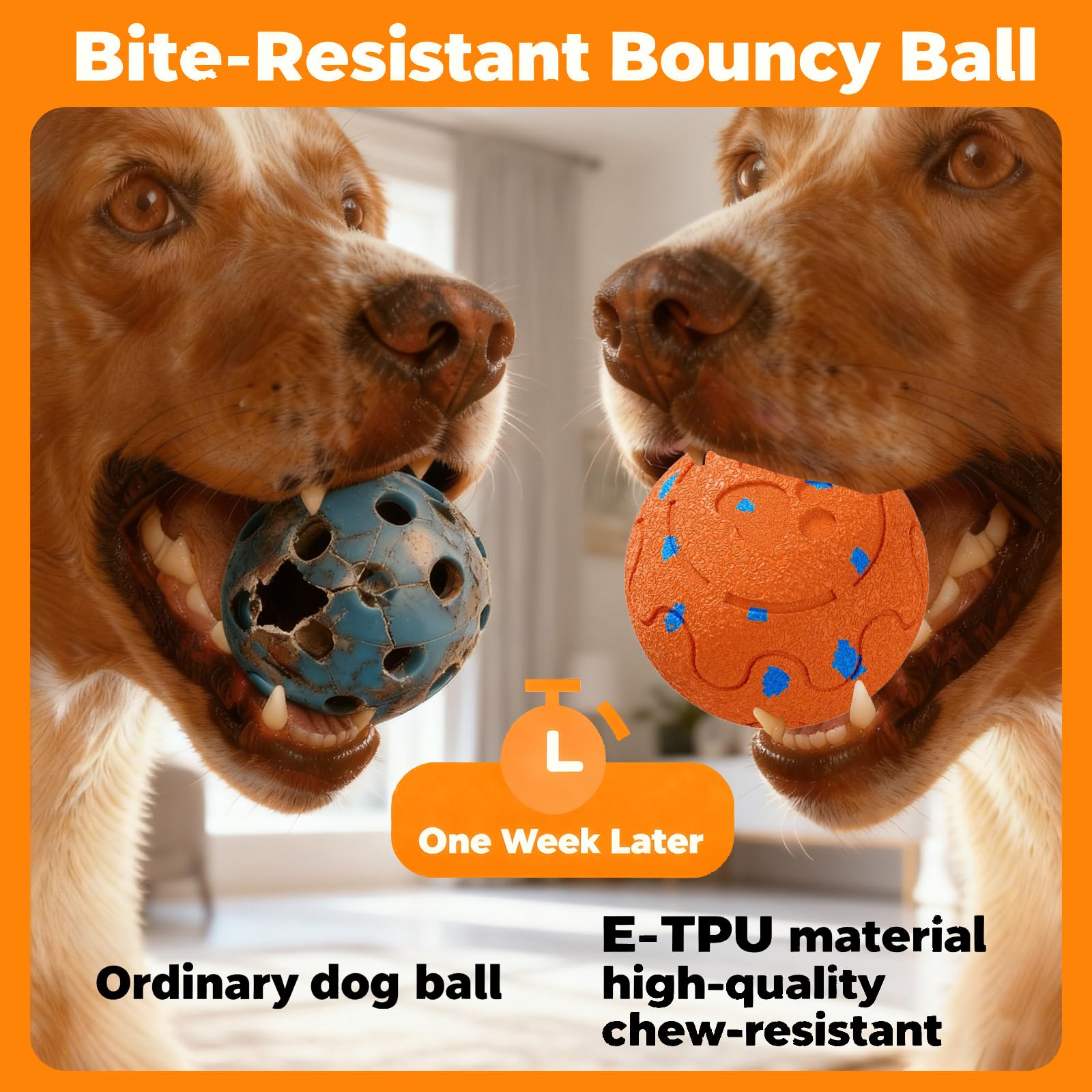 Morhandisn dog ball gentle mode: steady roll for curious dogs.