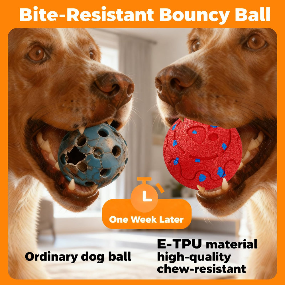 morhandisn dog ball ip54-waterproof-use for wet outdoor adventures.