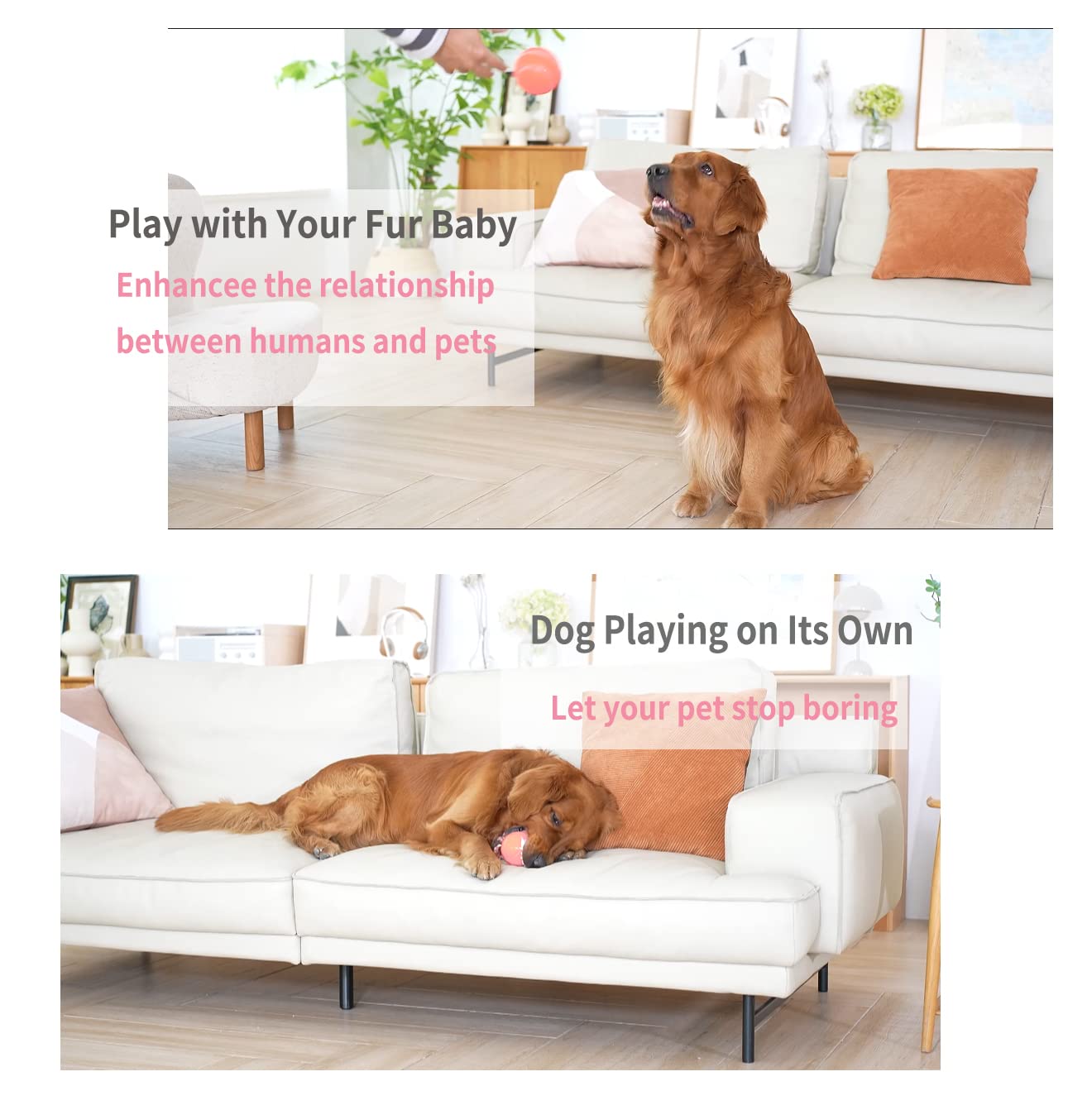 morhandisn interactive dog ball led lights demonstrate attention grabbing playtime for dogs.