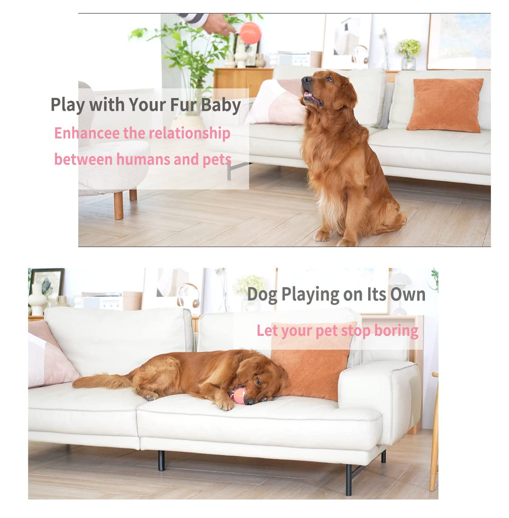 morhandisn interactive dog ball led lights demonstrate attention grabbing playtime for dogs.