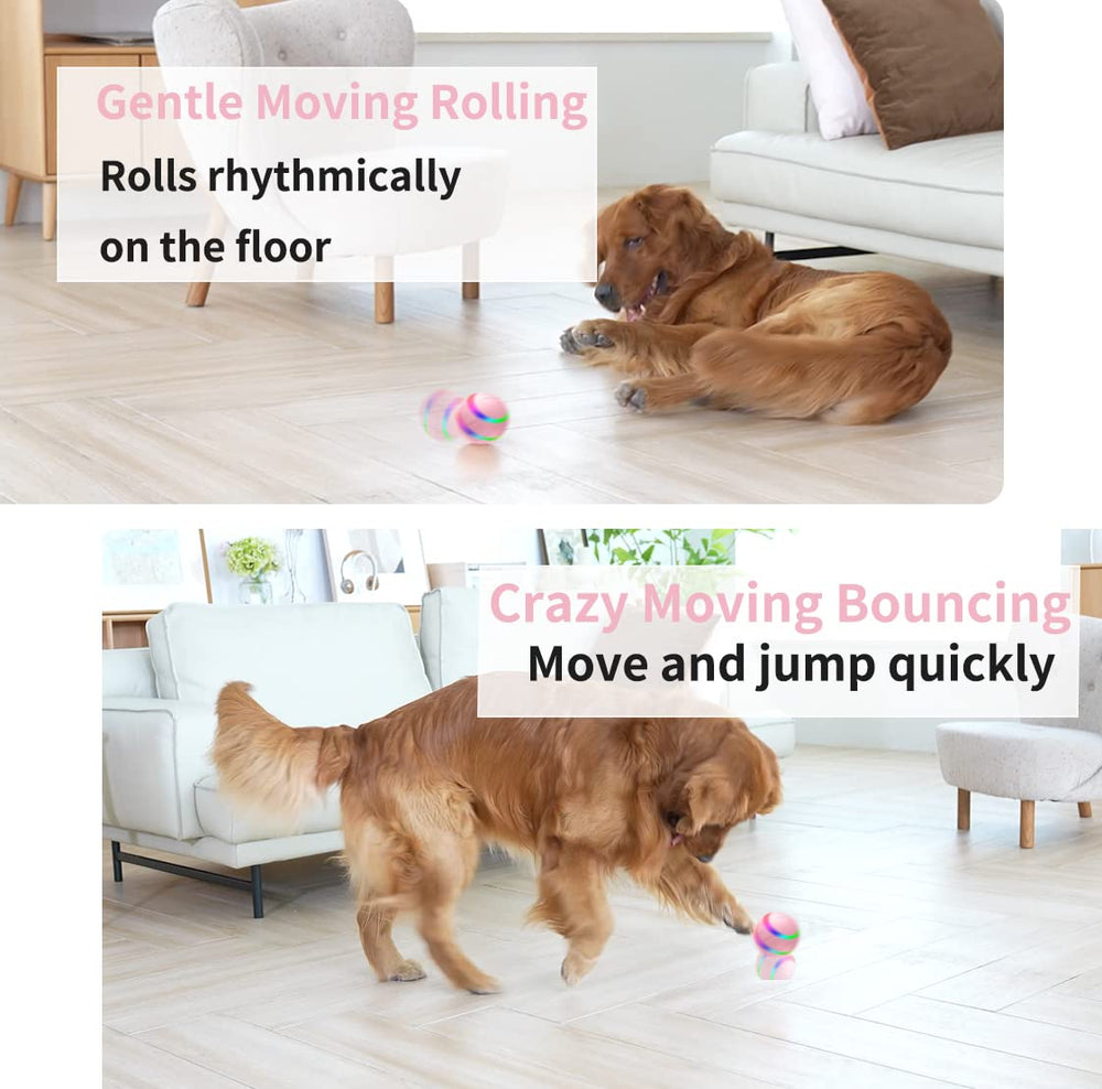 morhandisn interactive dog ball motion sensor shows automatic movement for engaging fetch.