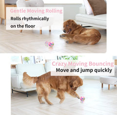 morhandisn interactive dog ball motion sensor shows automatic movement for engaging fetch.