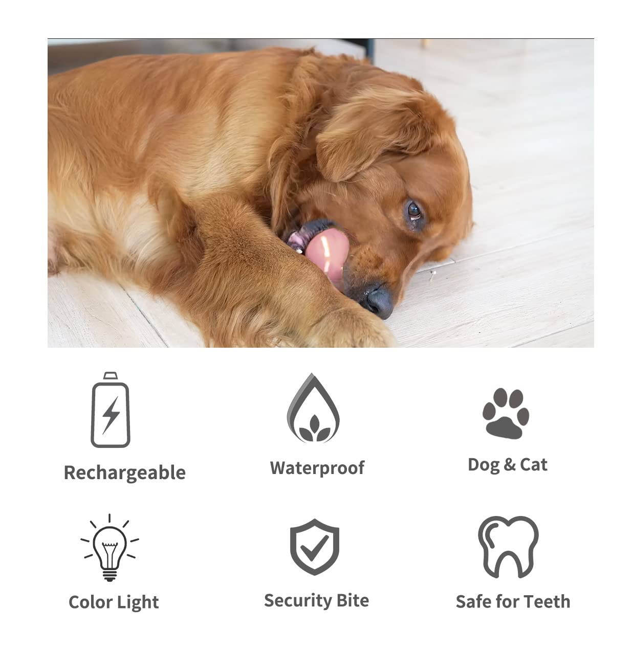morhandisn interactive dog ball usb recharge image highlights convenient charging for extended play.
