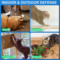 Morikey cat deterrent spray on furniture demonstrates gentle boundary setting