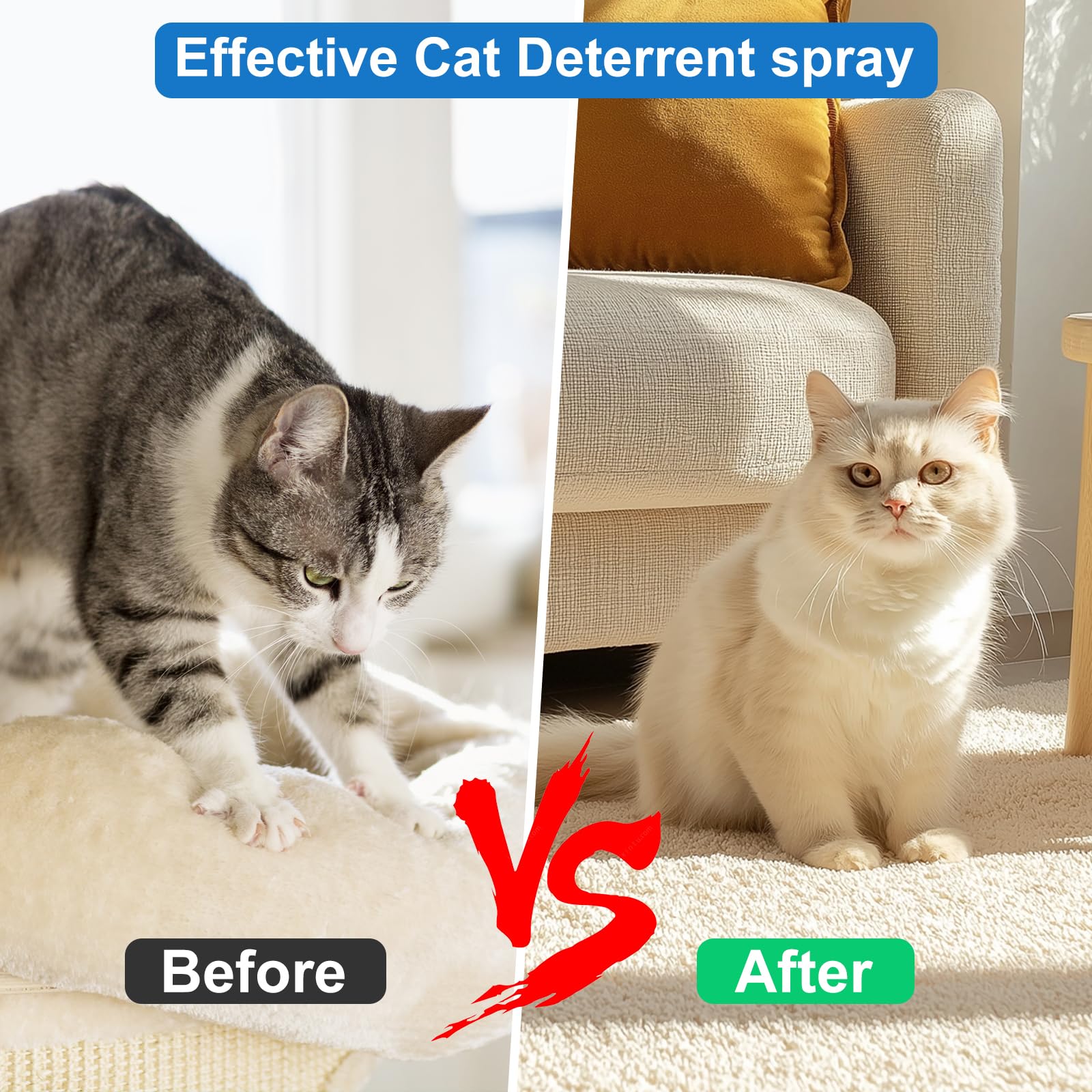 Morikey cat deterrent spray is kitten-friendly for early training