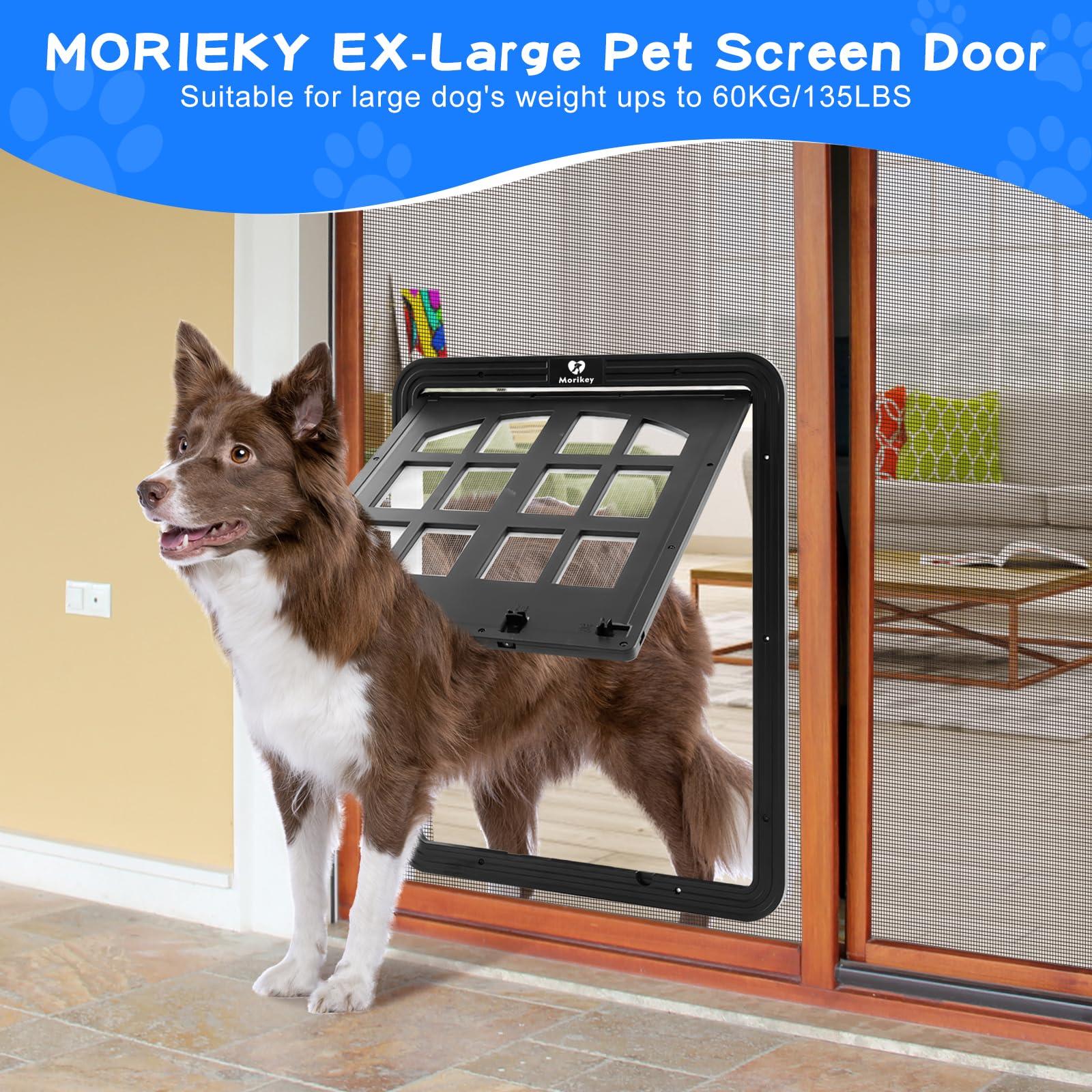 Morikey dog screen door showing four-entry layout for flexible pet access.